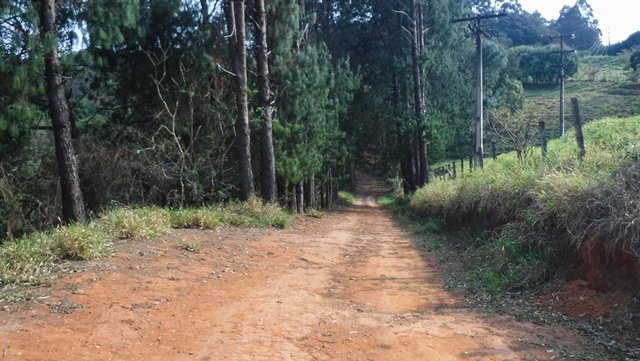 Caminhada pela estrada das andorinhas