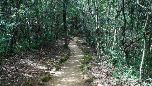 Trilha para a base da Cachoeira dos Luis