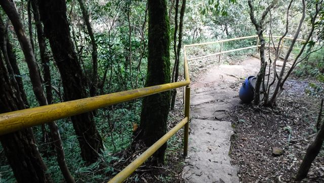 Trilha para a base da Cachoeira dos Luis