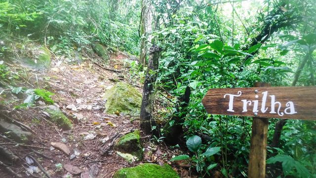 Trilha - Parque Terra das Cachoeiras