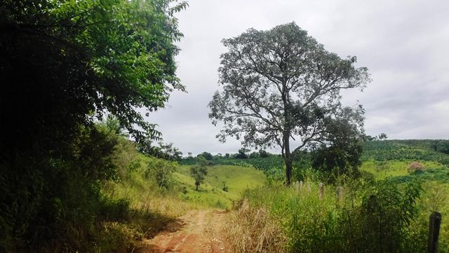 Trilha - Parque Terra das Cachoeiras