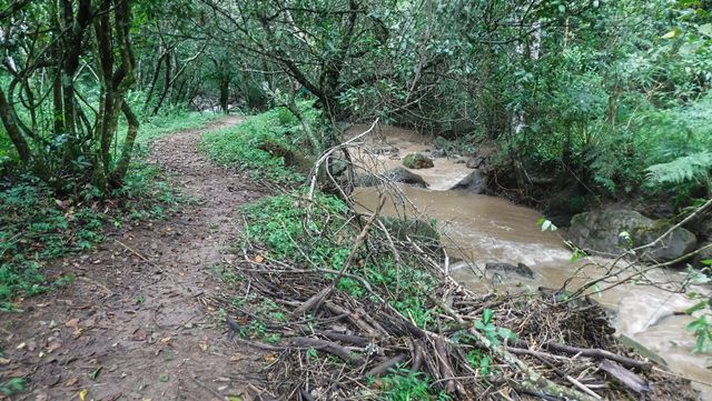 Trilha para as piscinas naturais, margeando o rio