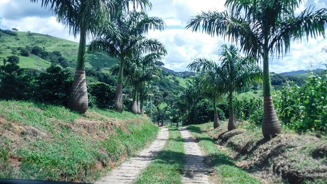 Cachoeira Machado I