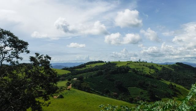 Visual na vinícola