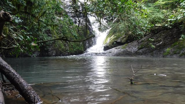 Quarta queda