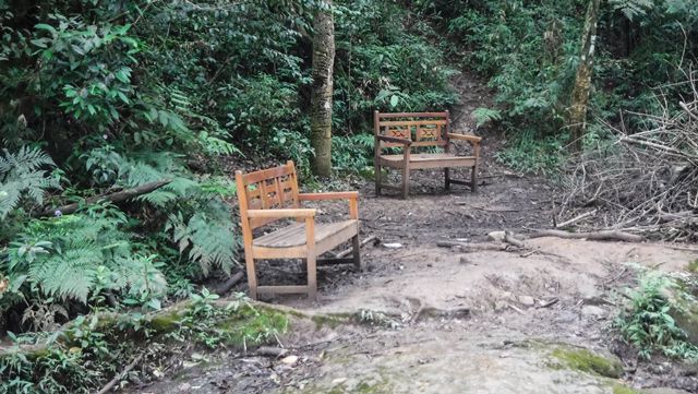 Última cachoeira da trilha - área de contemplação