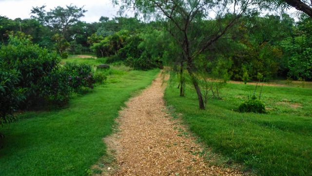 Parque da Cachoeira em São João da Boa Vista