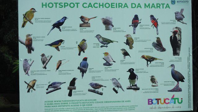 Aves que podem ser observadas no Parque