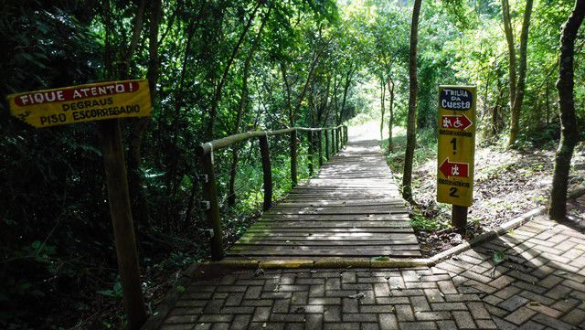 Trilha da Cuesta - Parque Cachoeira da Marta