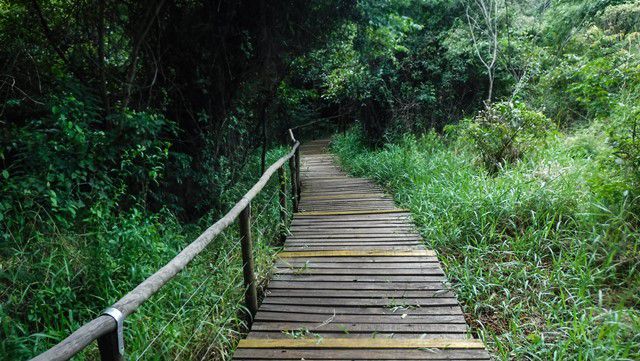 Trilha da Cuesta - Parque Cachoeira da Marta