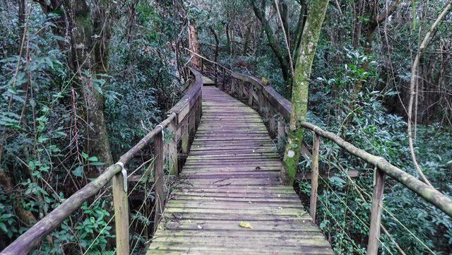 Trilha da Cuesta - Parque Cachoeira da Marta