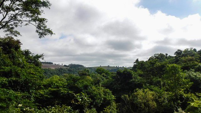 Trilha da Cuesta - Parque Cachoeira da Marta - Observatório 1