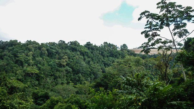 Trilha da Cuesta - Parque Cachoeira da Marta - Observatório 2