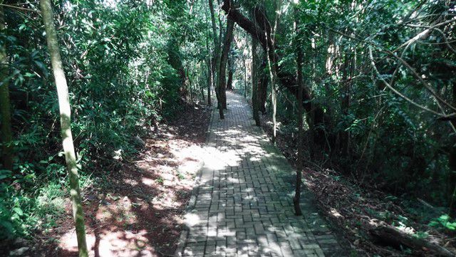 Trilha da Jaqueira - Parque Cachoeira da Marta