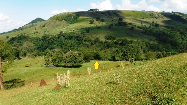 A seta indica a entrada da trilha