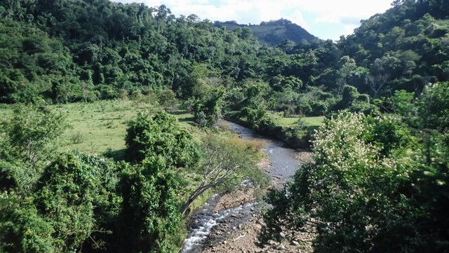 Rio que vem da Cachoeira Indiana