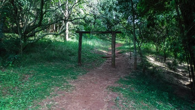 Trilha no Parque Municipal de Botucatu
