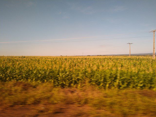 Muitas plantações margeando a rodovia saindo de Palmas