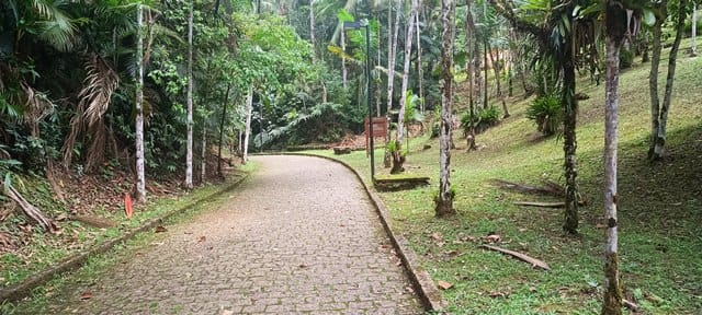 Caminho de paralelepípedos até a caverna