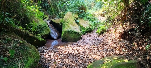 Trilha para a Cachoeira Ferradura