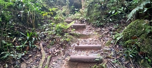 Trilha para acessar a parte de cima da cachoeira