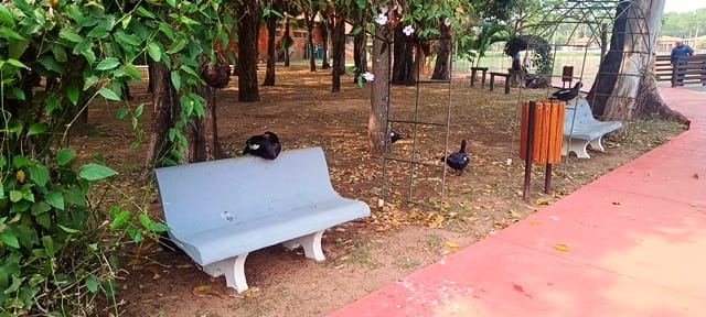 Parque Municipal Maria Angélica Manfrinato