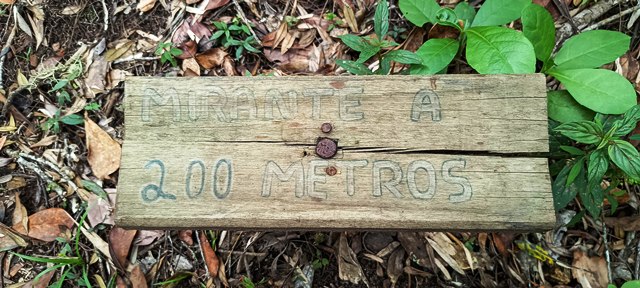 Trilha do Mirante do Governador, no Parque Caverna do Diabo