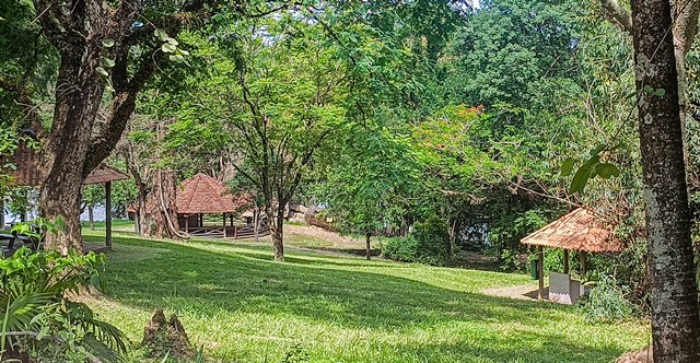 Espaço para piqueniques