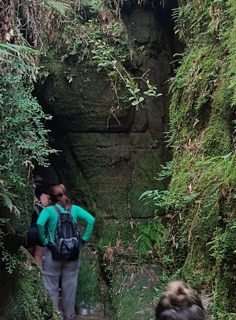 Consegue ver o elefante nessa pedra?