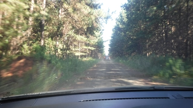 Seguindo para o Rio Butiá