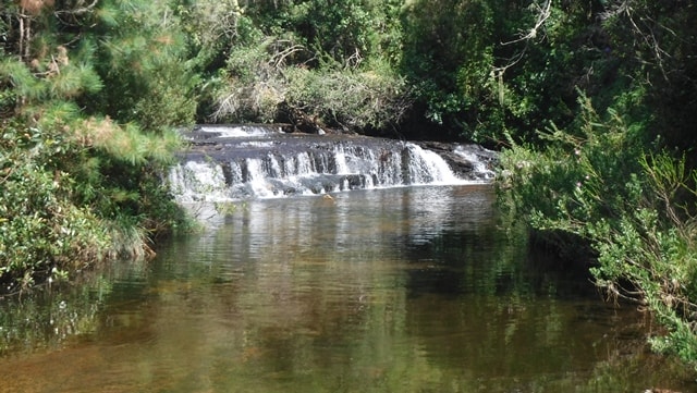 Trilha pelo Rio Butiá