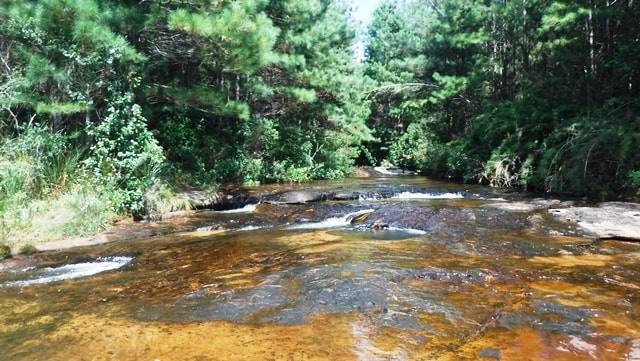 Trilha pelo Rio Butiá