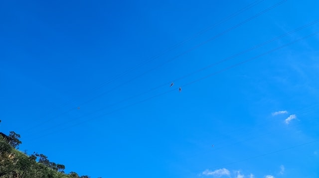 Galera atravessando o cânion de tirolesa