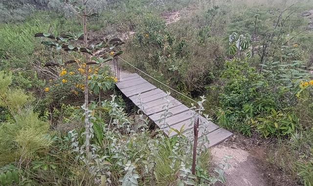 Trilha dentro do Parque Trilha do Sol