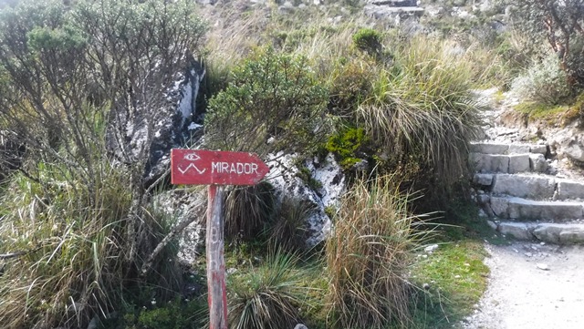 Trilha para o mirante da Laguna Paron