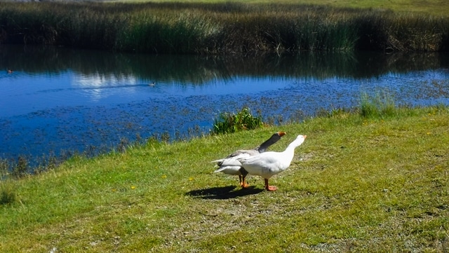 Laguna Wilcacocha, em Huaraz