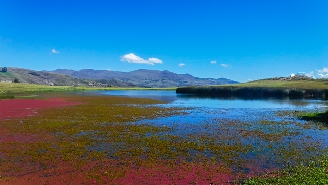 Laguna Wilcacocha
