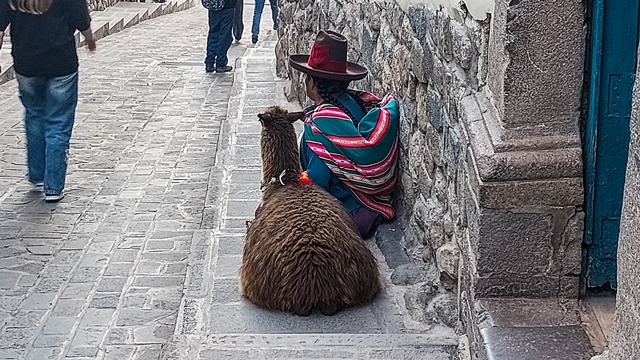 Se quiser uma foto com a lhama, tem também